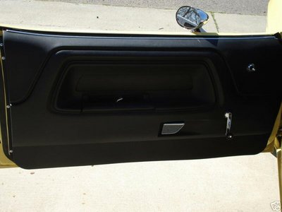 challenger left door panel.JPG